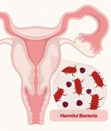 Ilustración del cuidado de la flora vaginal